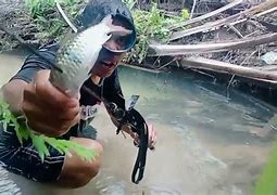 Mimpi Menembak Ikan Di Sungai